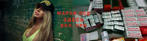 ПСИЛОЦИБИНОВЫЕ ГРИБЫ Магадан