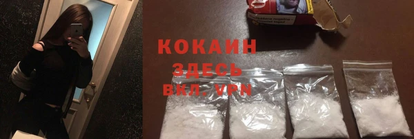 шишки Магас