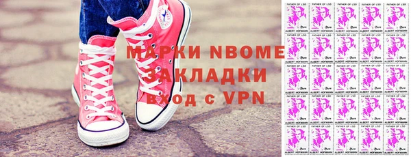 шишки Магас