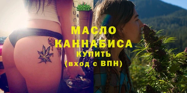 шишки Магас