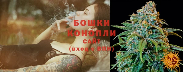 прущие грибы Майский