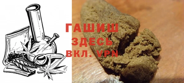шишки Магас