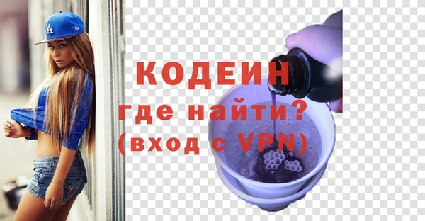 шишки Магас